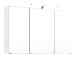 Spiegelschrank >Cleo I< in Polareiche - 100x64x20cm (BxHxT)