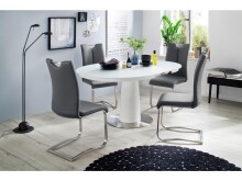 Esszimmerstuhl >Kerrin< (2-er Set) in grau aus Echtleder - 45x102x58cm (BxHxT)