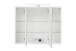 Spiegelschrank >Kopenhagen< in Weiß - 80x64x20cm (BxHxT)