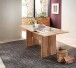 Esstisch >Sidonia< in Eiche Altholz - 180x76x90cm (BxHxT)