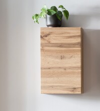 Hängeschrank >Villach< (B/H/T: 40x64x20 cm) in wotaneiche - 40x64x20 (BxHxT)