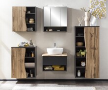 Badezimmerspiegelschrank >Kaprun< (B/H/T: 60x64x20 cm) in graphit