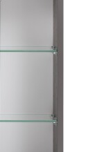 Badezimmerspiegelschrank >Kaprun< (B/H/T: 100x64x20 cm) in graphit
