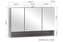 Badezimmerspiegelschrank >Kaprun< (B/H/T: 100x64x20 cm) in graphit