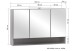 Badezimmerspiegelschrank >Kaprun< (B/H/T: 100x64x20 cm) in graphit