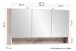 Badezimmerspiegelschrank >Kaprun< (B/H/T: 120x64x20 cm) in wotaneiche