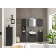 Badezimmerspiegelschrank >Spice< in Schwarz matt - 60x67x20 (BxHxT)