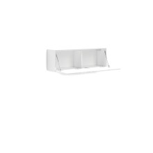 Hängeschrank >Mister< in weiss, Lack Hochglanz - 113x38x30cm (BxHxT)
