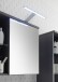 Badezimmerspiegelschrank >Grey< in Glas Grau - 69x60x25 (BxHxT)