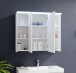 FOUR Spiegelschrank Bad mit LED-Beleuchtung in Weiß - Badezimmerspiegel Schrank mit viel Stauraum - 80 x 68 x 23 cm (B/H/T)