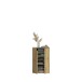 Garderoben-Set >Projekt X< in Artisan Eiche - 152x99x34cm (BxHxT)