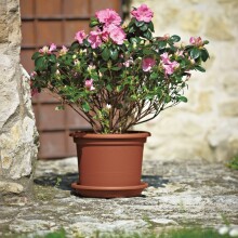 Blumentopf >Geo< in terracotta, Polypropylen -...