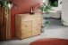 Kommode >KM-0662< 2 Türen, 1 Schub, 1 Boden, Wildeiche massiv - 100x89x40cm (BxHxT)