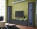 Vitrine >Benevent< in Anthrazit matt - 40x180x30cm (BxHxT)