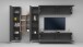 Wohnwand >Benevent< (5-teilig) in Anthrazit matt - 320x180x30 (BxHxT)