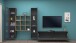 Wohnwand >Benevent< (4-teilig) in Anthrazit matt - 350x180x30 (BxHxT)