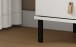 Waschbeckenunterschrank >WZ-0800< 2 Türen, 1 Boden, Kiefer massiv weiß lackiert - 62x65x40 (BxHxT)