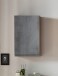 Hängeschrank >Paris< in Betongrau, Wotaneiche, MDF - 40x64x20cm (BxHxT)