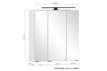 Spiegelschrank >Lyon< in weiß - 60x64x20cm (BxHxT)