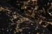 Teppich >Bijou< in Schwarz / Gold, 100% Polyester - 170x120cm (LxB)