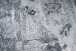 Teppich >Galaxy< in Grau / Blau, 100% Polyester - 240x170cm (LxB)