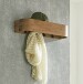 Wandgarderobe >54968< in akazie, schwarz, Massivholz, Metall - 60x13x20 (BxHxT)