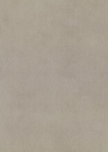 Polsterbett >San Remo mit BK< Liegefläche 180x200cm, beige, Stellmaß: 190x120x215cm (BxHxT)