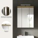 Spiegelschrank >Scout< in Evoak Oak / Spiegel - 60x79x18cm (BxHxT)