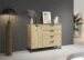 Kombikommode >Aditio Box< in Eiche Artisan Dekor - 120x92x44 (BxHxT)