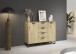 Kombikommode >Aditio Box< in Eiche Artisan Dekor - 120x92x44 (BxHxT)