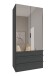 Falttürenschrank >OXFORD< in Grafit / Spiegel - 100x216x58cm (BxHxT)
