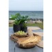 Dekoschale >Rio< in Teak, Massivholz - 20x8x20cm (BxHxT)