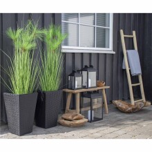 Dekoleiter >Dekoleiter< in Natur, Massivholz - 50x150x5cm (BxHxT)