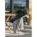 Teppich >Menorca< in Beige, PET Recycelter Kunststoff - 140x1x200cm (BxHxT)