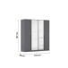 Drehtürenschrank >Alba< inkl. Inneneinteilung, grau metallic / Spiegel - 181x197x54 (BxHxT)