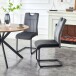 Freischwinger >Lisa< 2er Set in anthrazit, Velouroptik - 43x98x61cm (BxHxT)