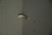 Schwebetürenschrank >palermo< PLANKENEICHE DEKOR + GRAPHIT - 250x216x65cm (BxHxT)
