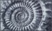 Badematte >AMMONA< in grau, 100% Polyacryl SUPERSOFT - 120x70x2cm (LxBxH)