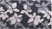 Badematte >UMBRIA< in schwarz, 100% Polyacryl SUPERSOFT - 100x60x1,8cm (LxBxH)