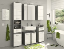 Badezimmerspiegelschrank >Blake< in Rauchsilber/Spiegelglas - 60x77x21cm (BxHxT)