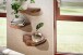 Wandboard >WL6.776< (3-teilig) in Akazie, Massivholz - 47x4x26cm (BxHxT)