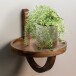 Wandboard >WL6.788< in Mango, Massivholz - 33x30cm (HxD)