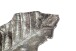 Dekofigur >WL7.685< in Silber, Aluminium - 67x27x11cm (LxBxH)